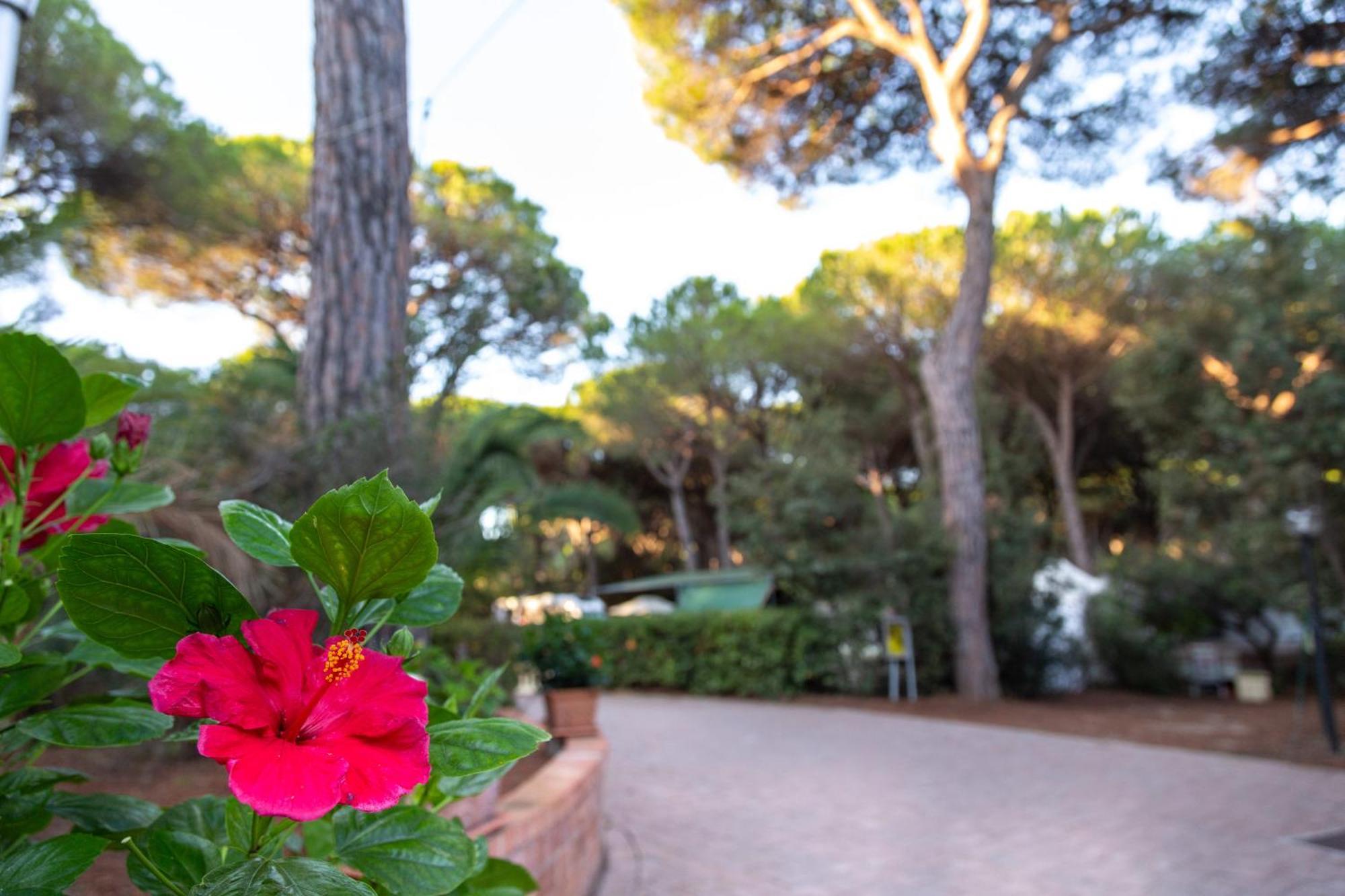 Camping Village Il Sole Marina di Grosseto Exterior foto