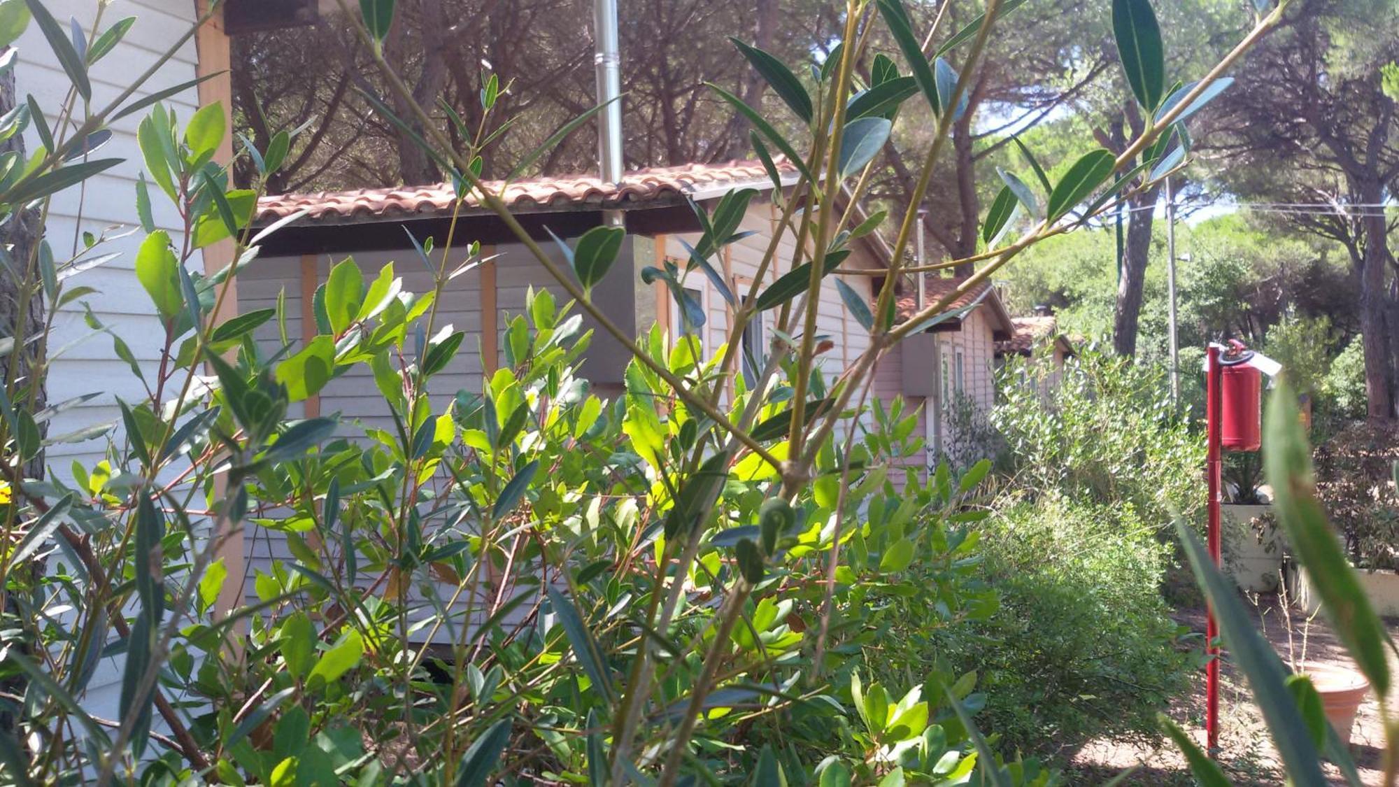 Camping Village Il Sole Marina di Grosseto Cameră foto