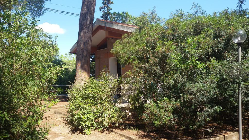 Camping Village Il Sole Marina di Grosseto Exterior foto