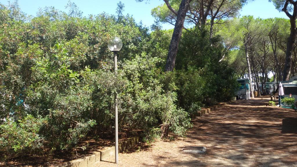 Camping Village Il Sole Marina di Grosseto Exterior foto