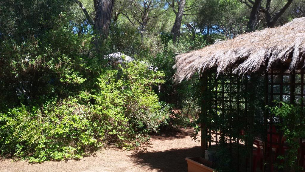 Camping Village Il Sole Marina di Grosseto Exterior foto