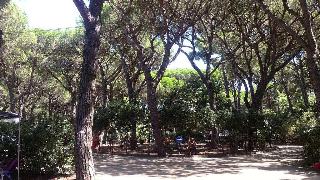 Camping Village Il Sole Marina di Grosseto Exterior foto